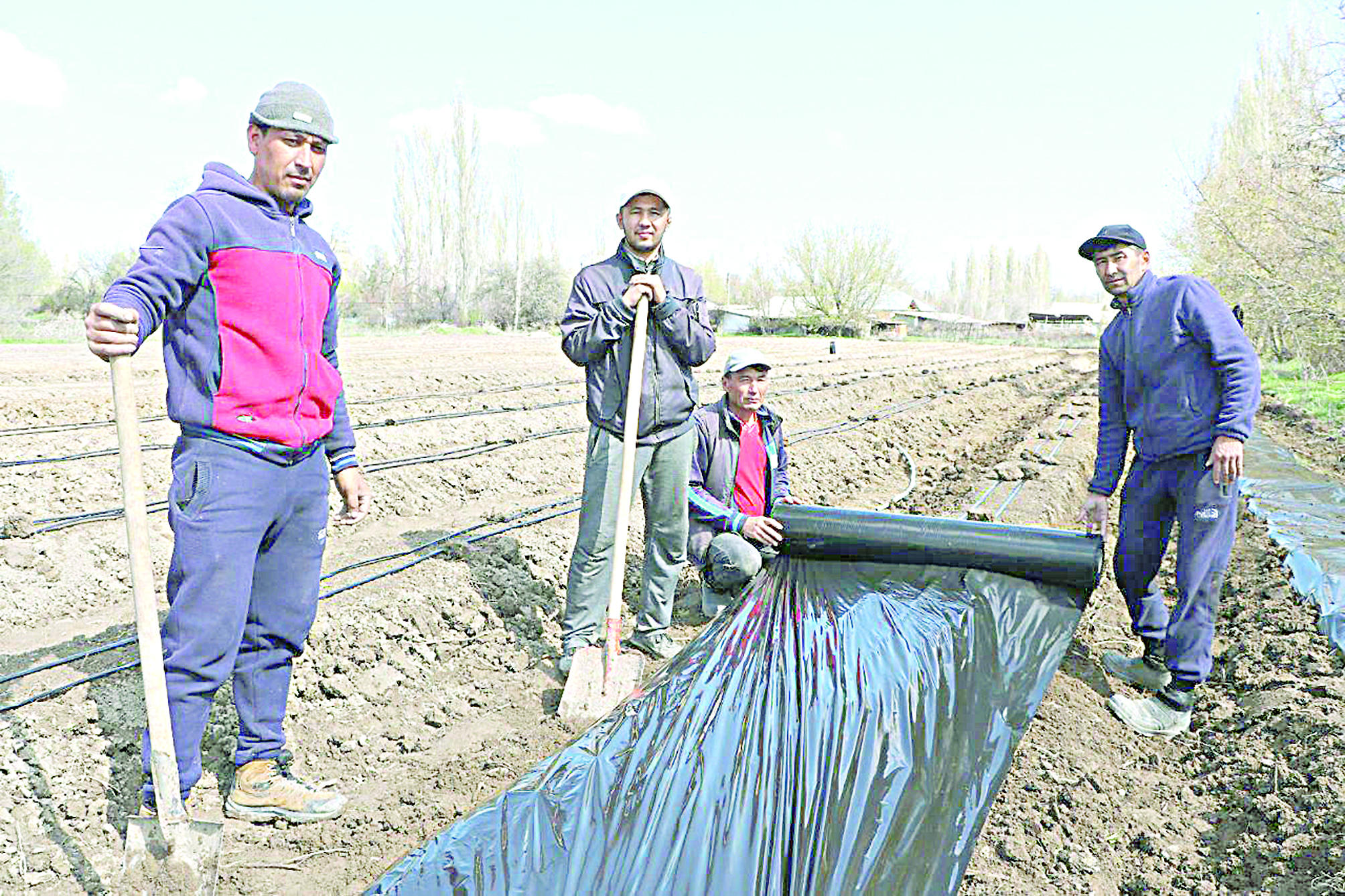 قۇلپىناي ەگەمىن دەپ قۇلشىنىپ وتىر