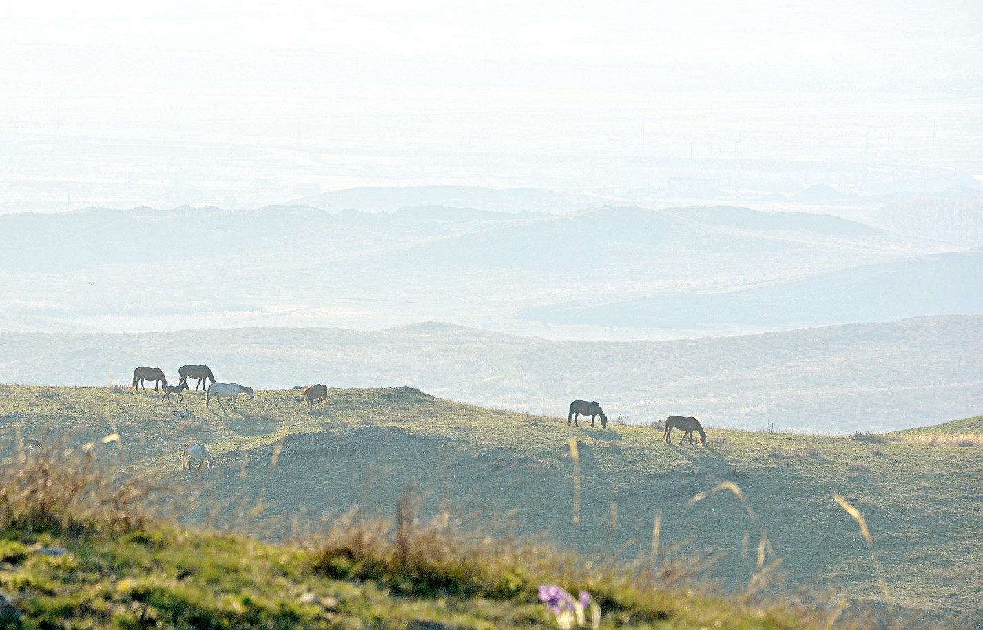 جەردىڭ شىن يەسى – شارۋا