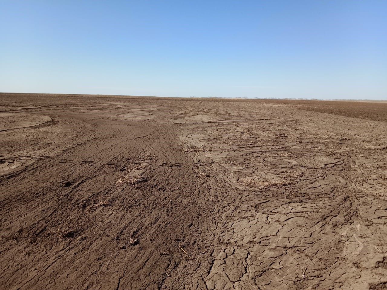 اۋىسپالى ەگىس  – جەردى ازدىرماۋدىڭ جاقسى امالى