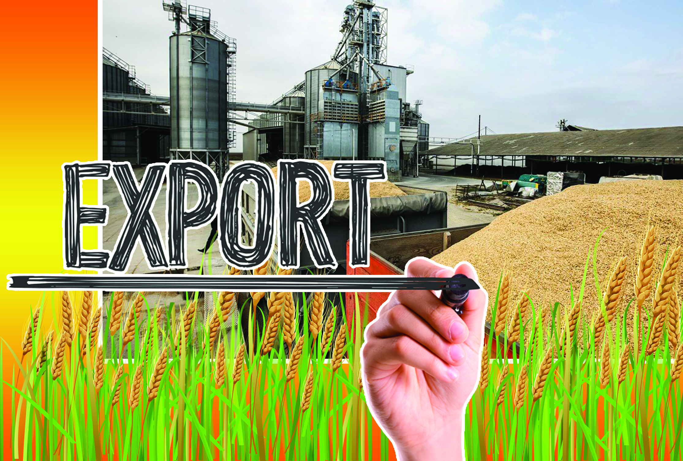 استىق نارىعىنداعى الاڭداۋشىلىق