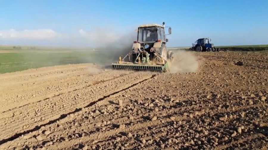 كومەگى كوپ «كەڭ دالا»