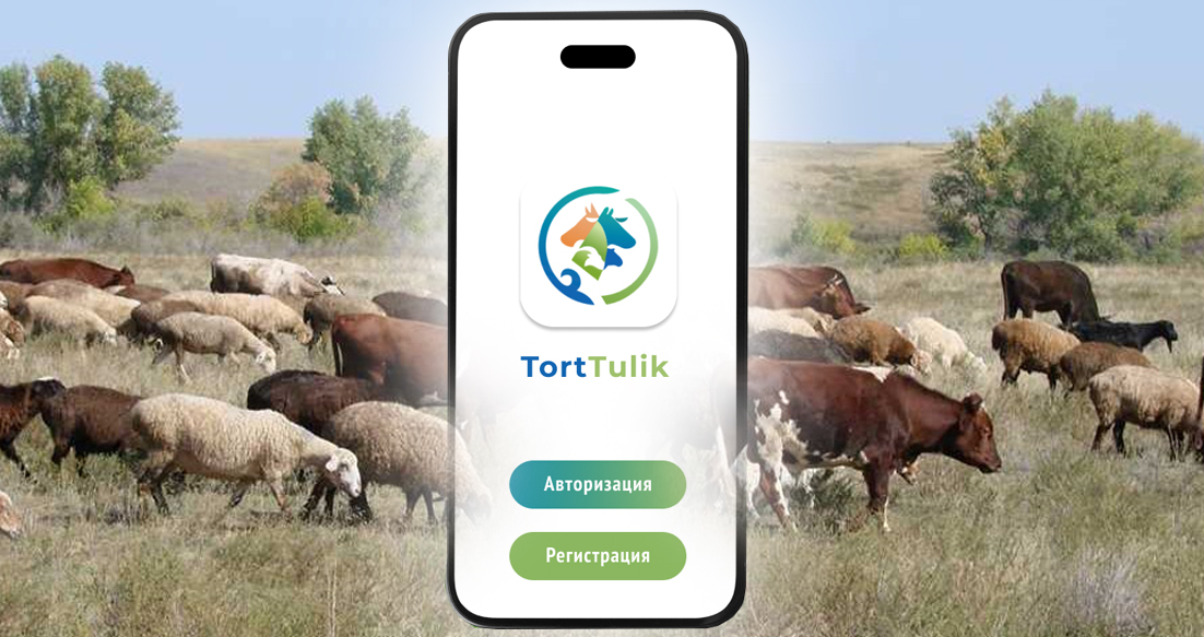 «TortTulik» – مال باققانداردىڭ ءموبيلدى قوسىمشاسى