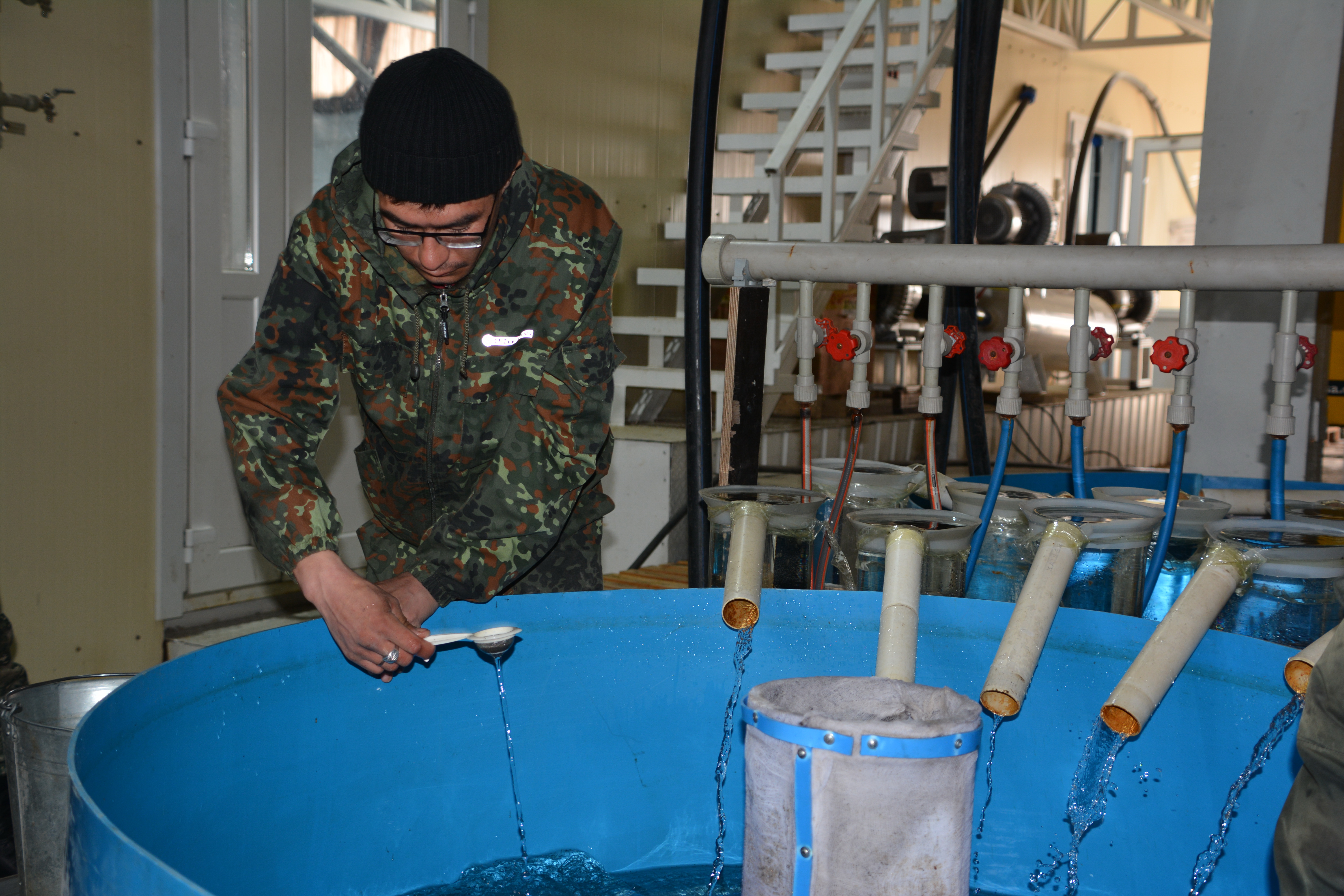 اقساقا شاباعى جىبەرىلدى