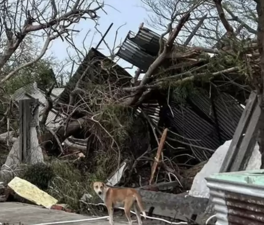 «موككو» تسيكلونى: ميانمادا 6 ادام قازا تاپتى