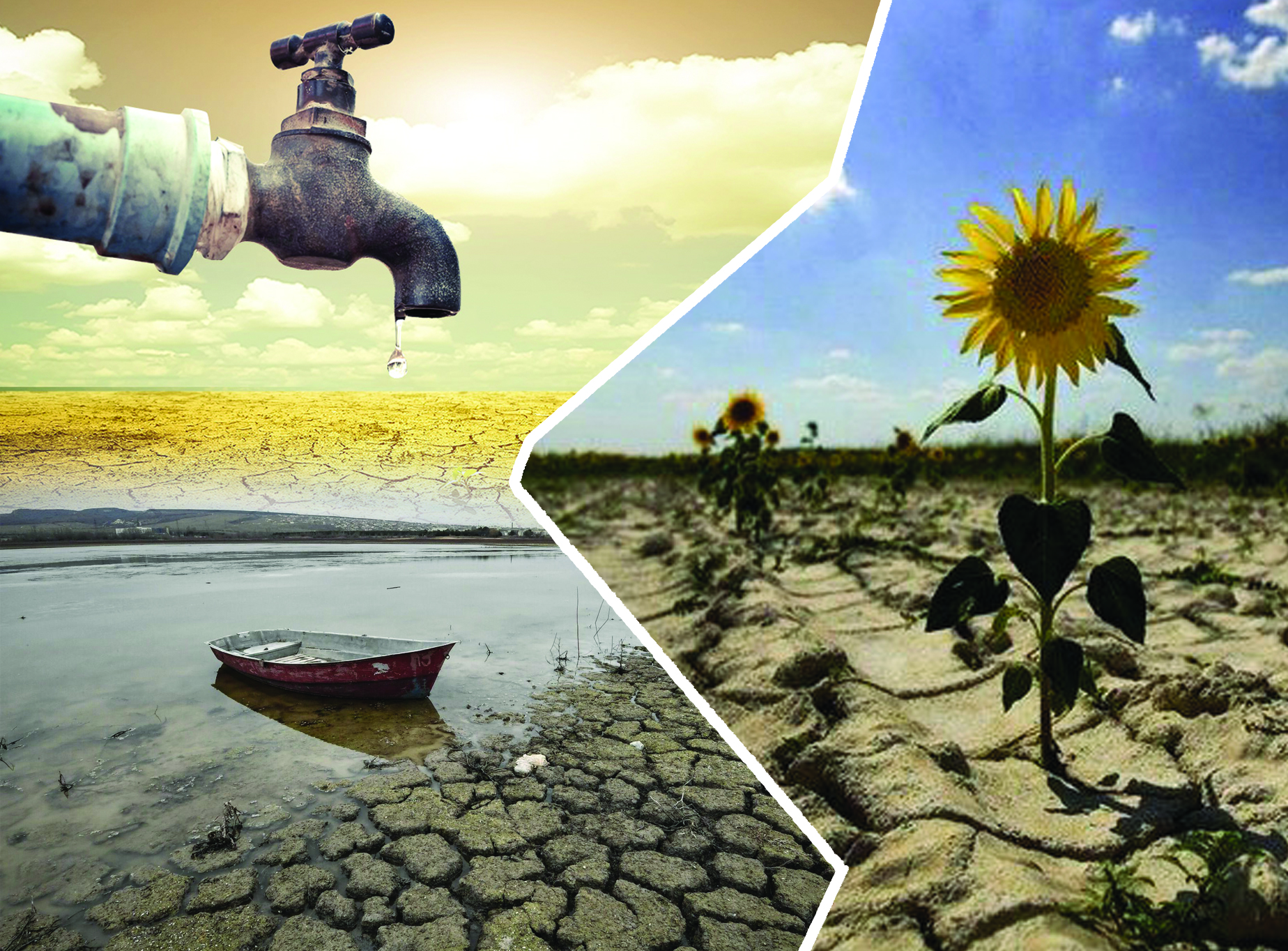 مەملەكەت نەگىزى – جەر مەن سۋ