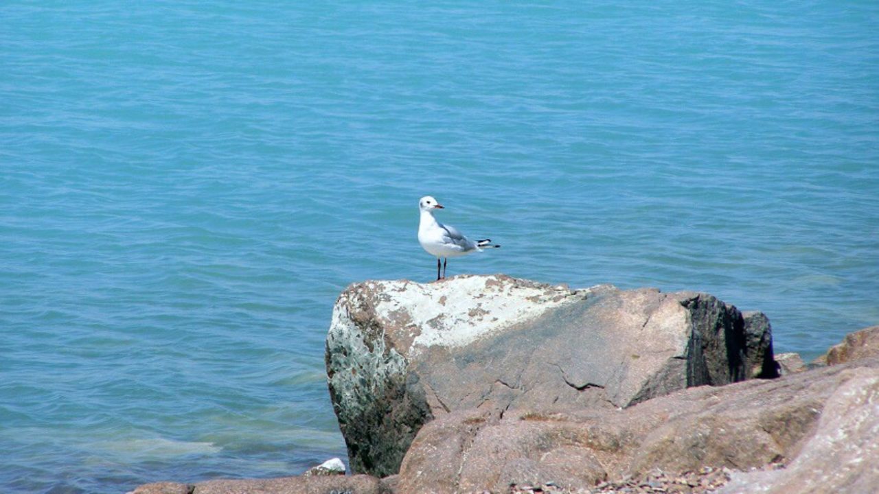بالقاشتا ءتۋريزمنىڭ باعى قاشان جانادى؟