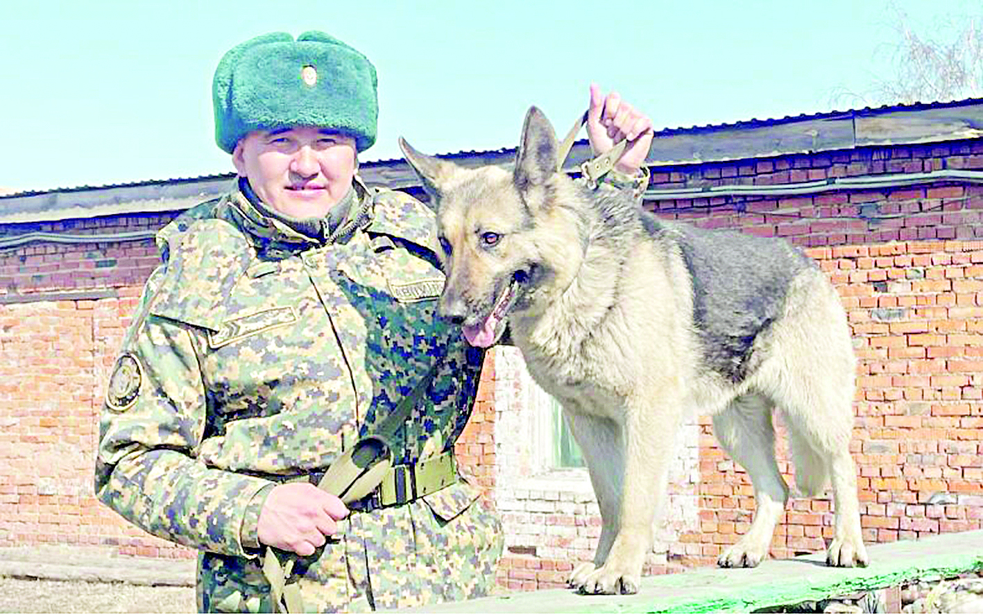 سەگىز قىرلى سەرجانت