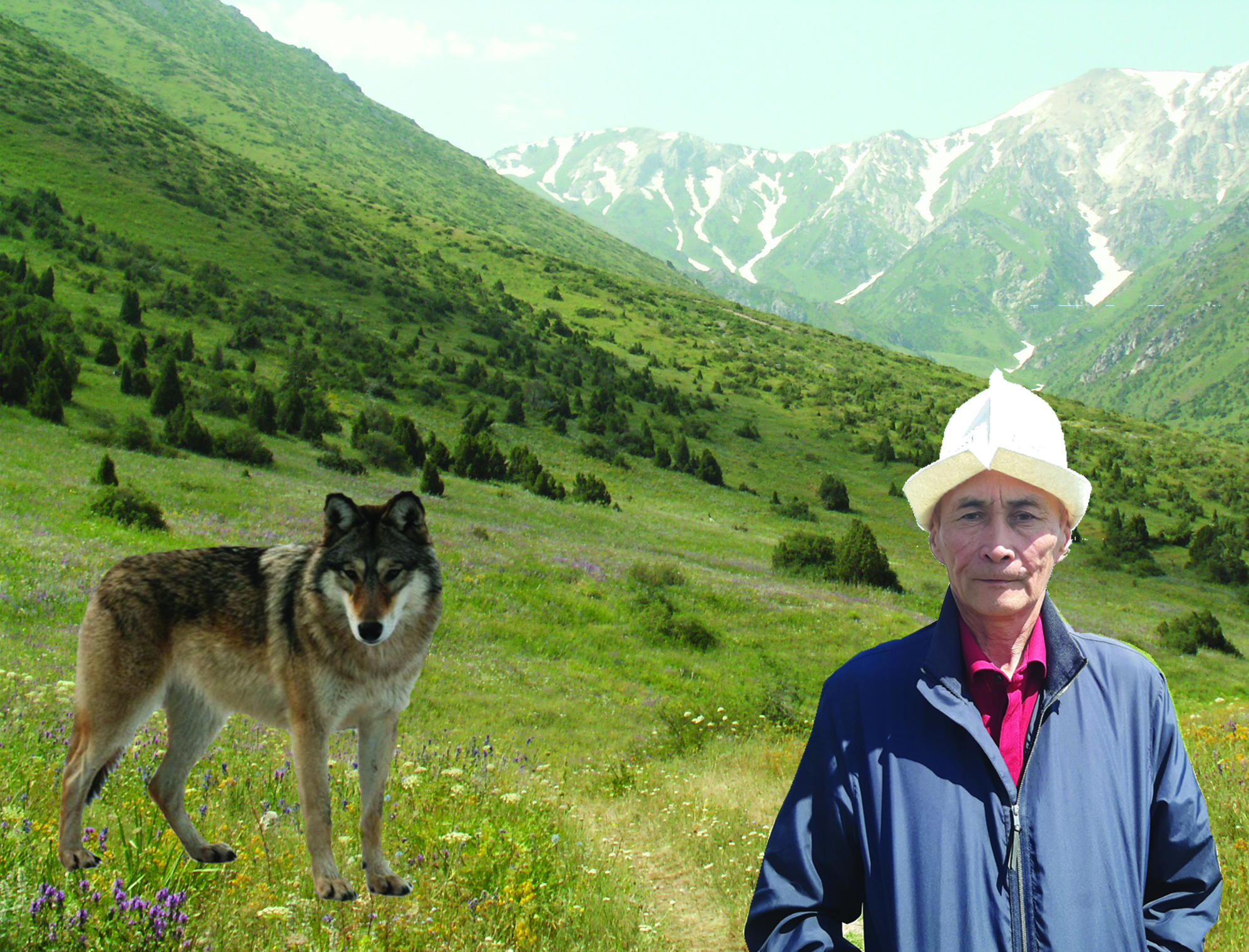 كوك ءبورى نەگە كورىنبەي كەتتى؟