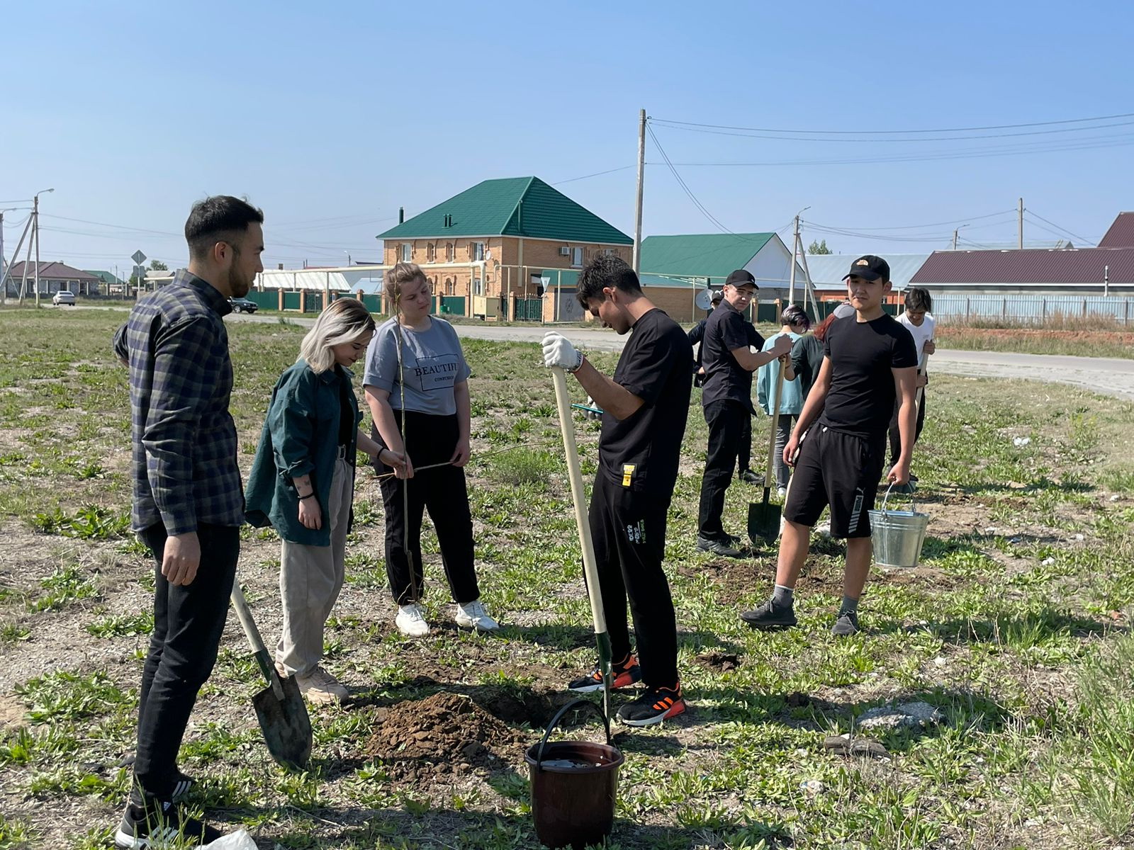 شاڭىراق شىبىعى