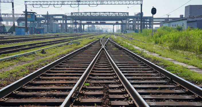 قازاق-قىتاي شەكاراسىندا ءۇشىنشى تەمىر جول وتكەلىن اشۋ ماڭىزدى – پرەزيدەنت