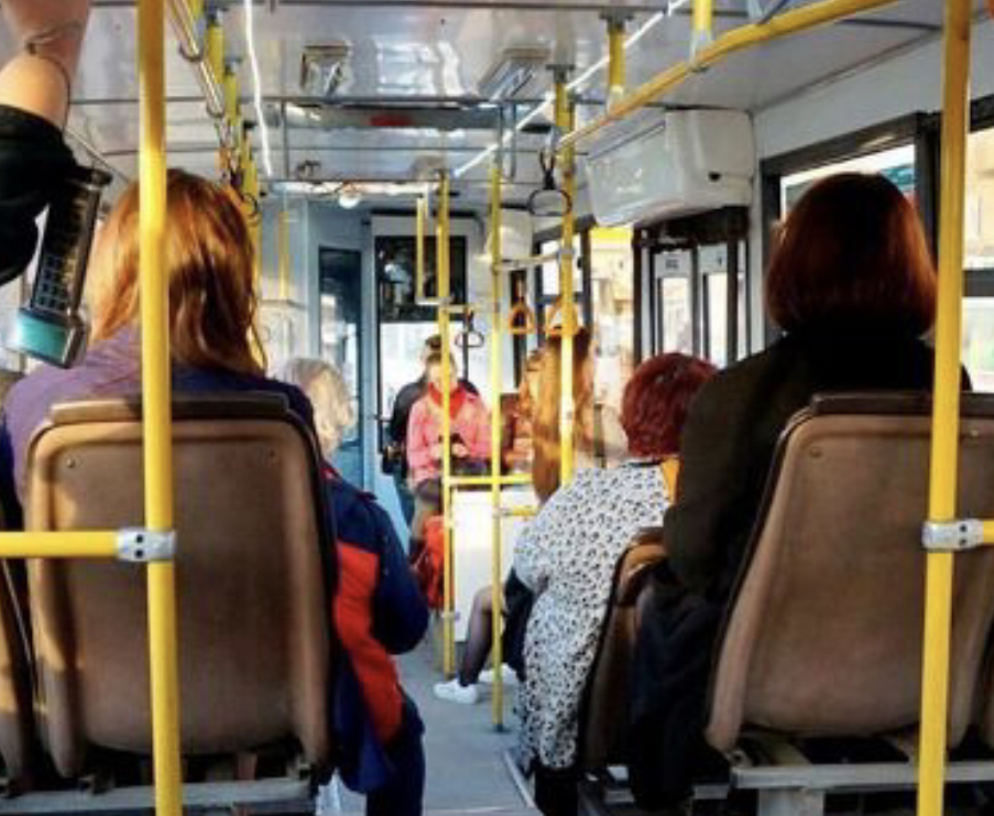 پەتروپاۆلدا قوعامدىق كولىك جولاقىسى قىمباتتايدى