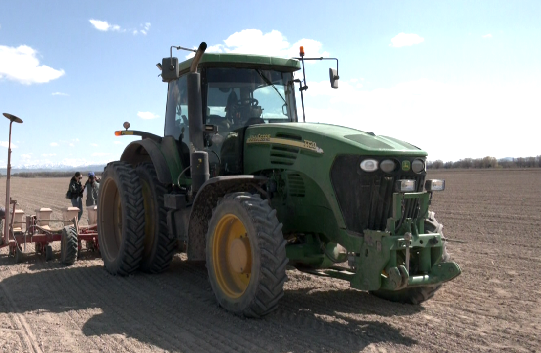 كوكتەمگى ەگىس قىزعان شاق