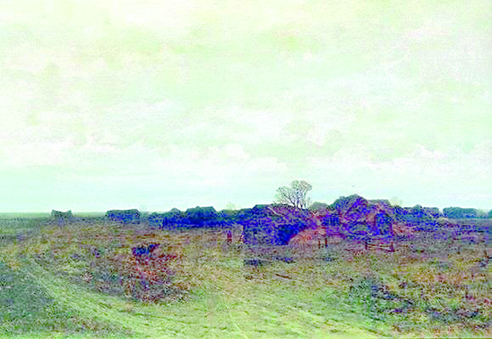 ۇمىتىلعان اۋىل