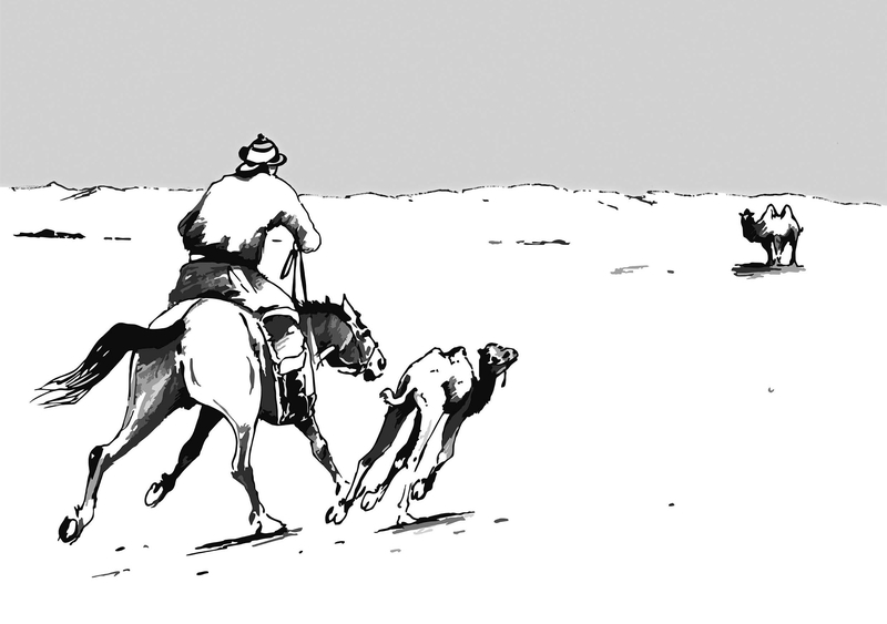 بوتا قايىرعان جورعا