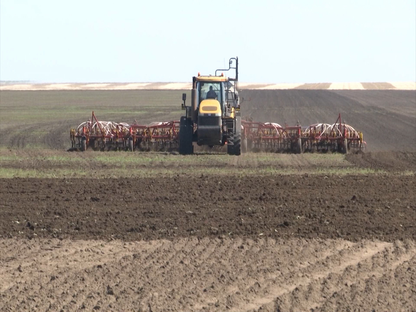 تاناپتا تىرشىلىك قىزعان شاق