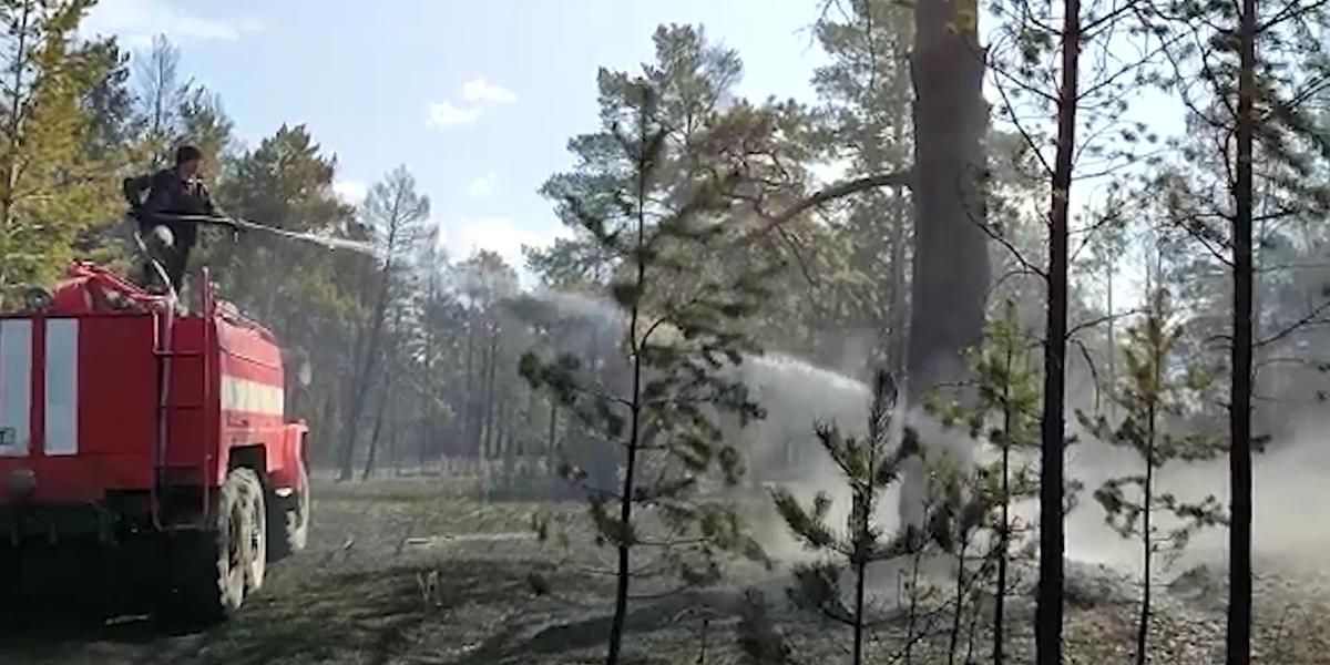 التايداعى ءورت: قاۋىپتىڭ بەتى قايتىپ كەلەدى