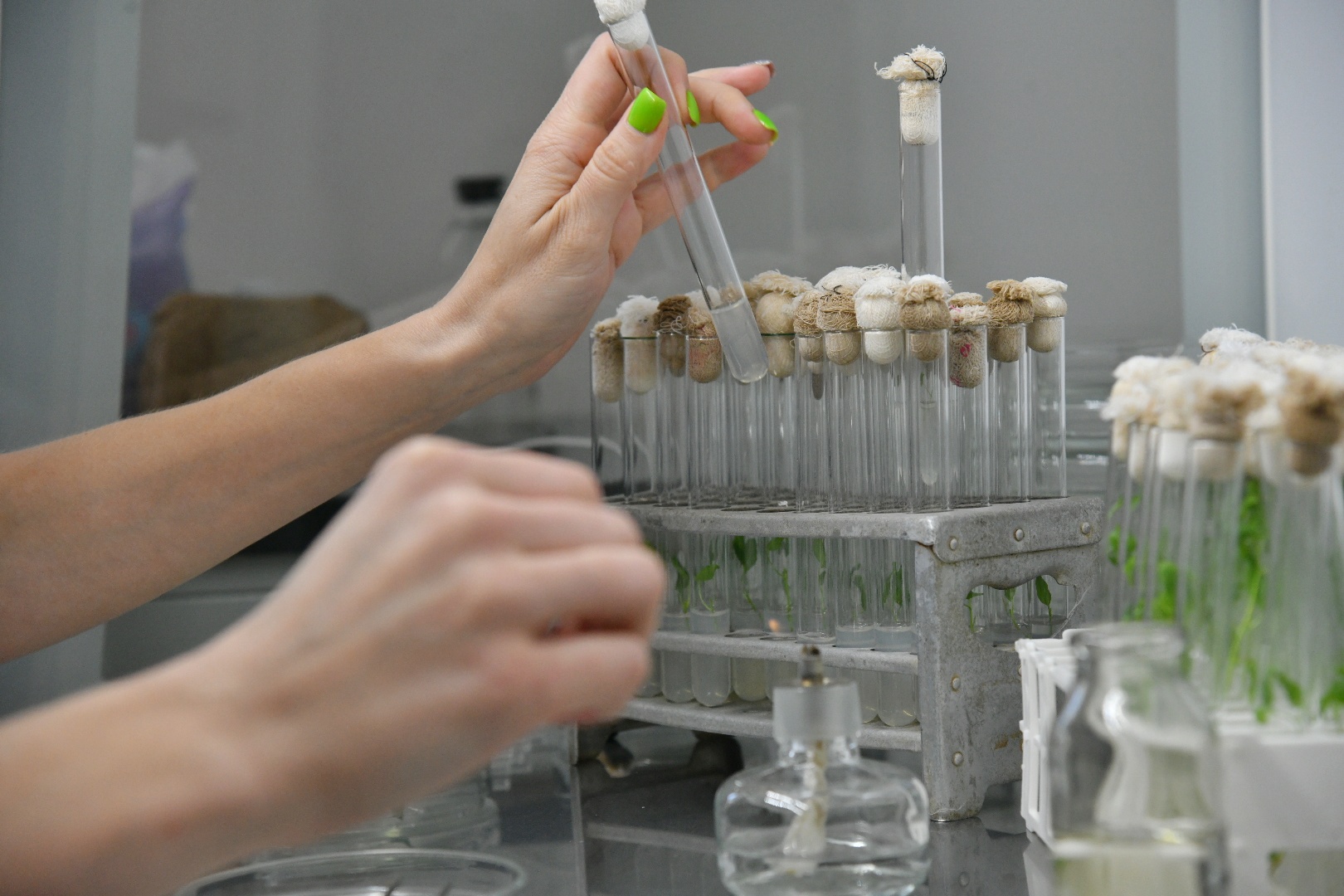 اگروعىلىم قولداۋعا مۇقتاج