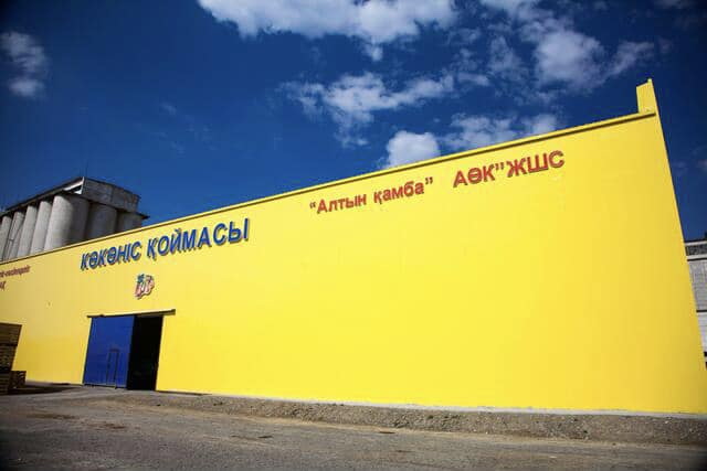 شىرىگەن ءونىم,  شاراسىز باسشى