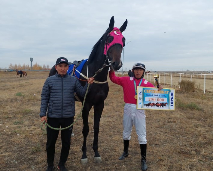 وسپاننىڭ اقشاتىرى نەمەسە قازاقى تۇلپاردى اڭساۋ