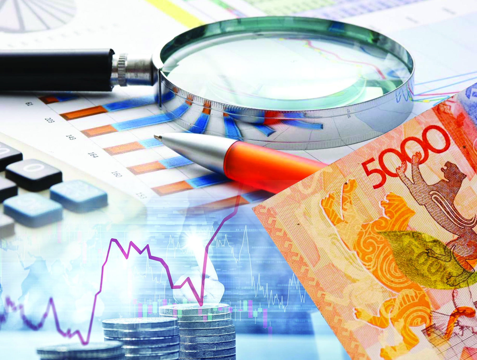 قورجىنى توق قارجى سەكتورى