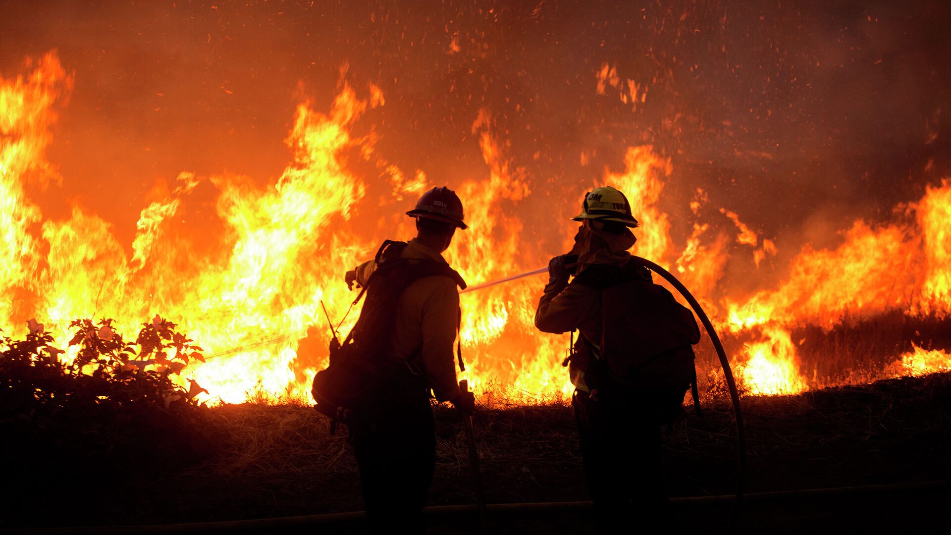 اباي وبلىسىندا ورمان ورتىنە بايلانىستى توتەنشە جاعداي جاريالاندى