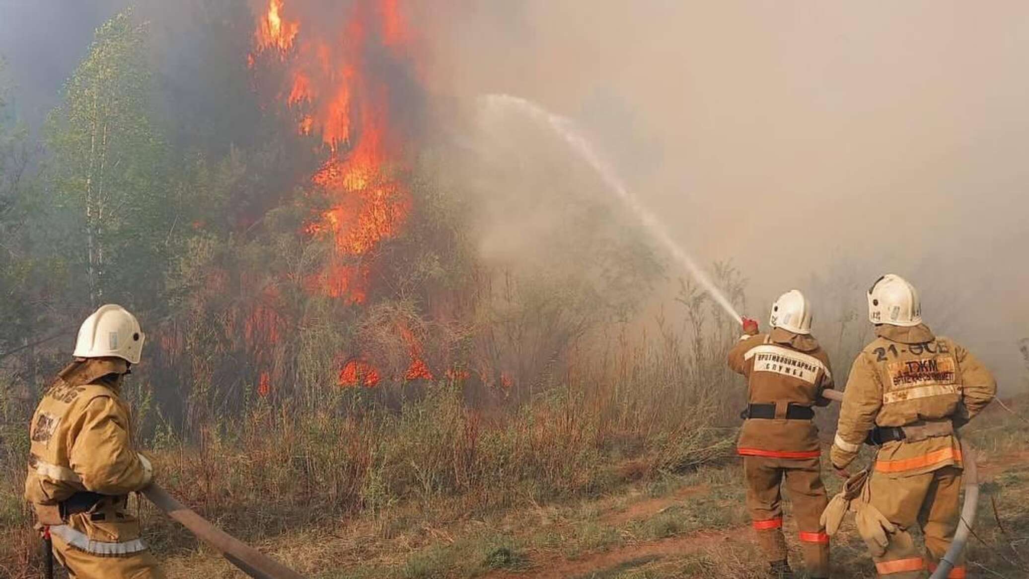 پرەزيدەنت اباي وبلىسىنداعى ورتكە بايلانىستى جەدەل تاپسىرما بەردى