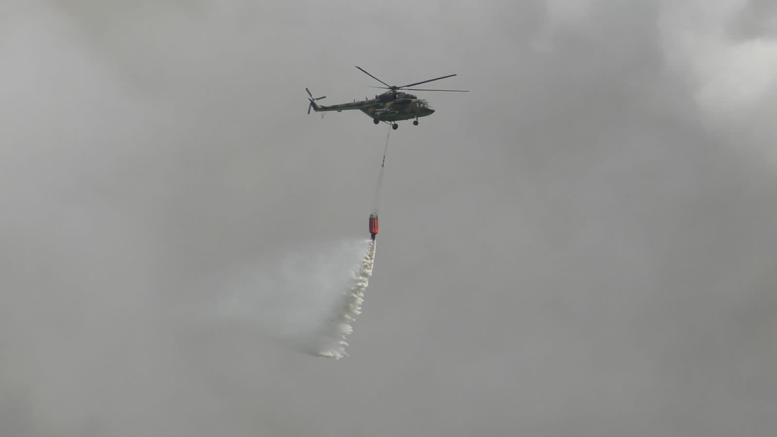 اباي وبلىسىنداعى ءورتتى سوندىرۋگە اسكەريلەر دە جۇمىلدىرىلدى