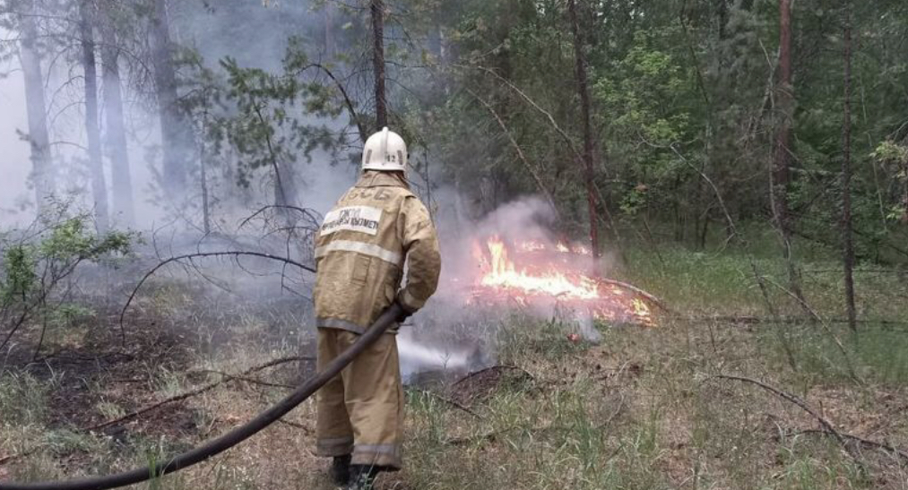 اباي وبلىسىنداعى الاپات ءورت كەزىندە وپات بولعانداردىڭ ەسىمدەرى انىقتالدى