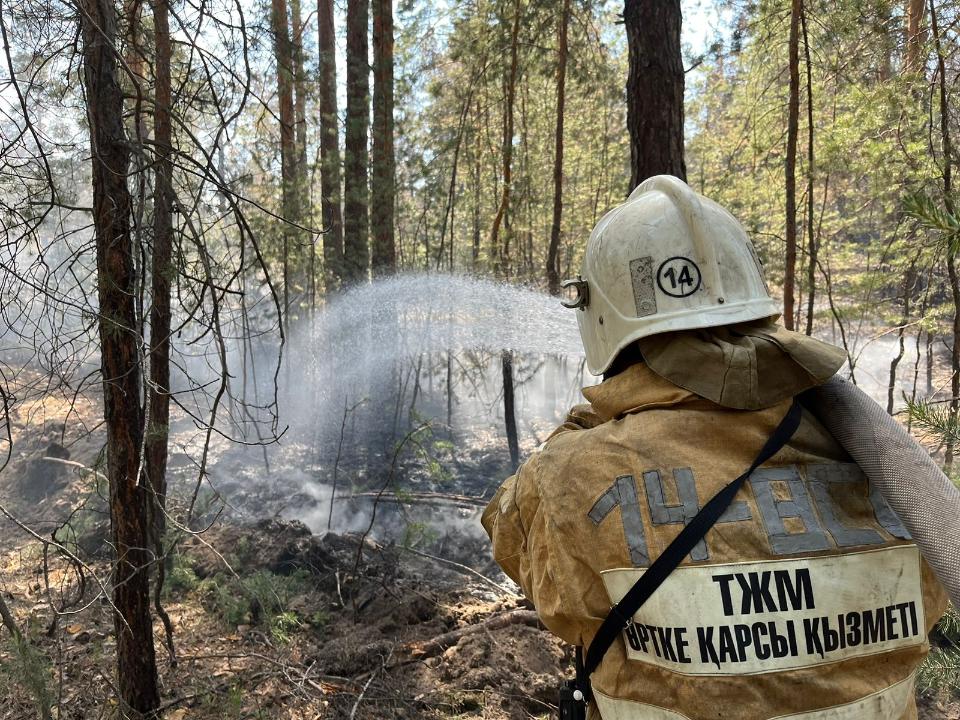 اباي وبلىسىنداعى ءورتتى سوندىرۋگە 1500-دەن استام ادام جۇمىلدىرىلدى