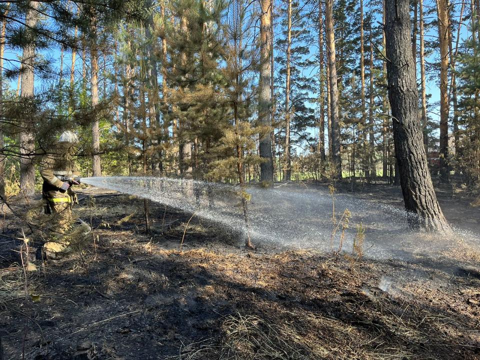 اباي وبلىسىنىڭ تج دەپارتامەنتى قازىرگى جاعدايدى باياندادى