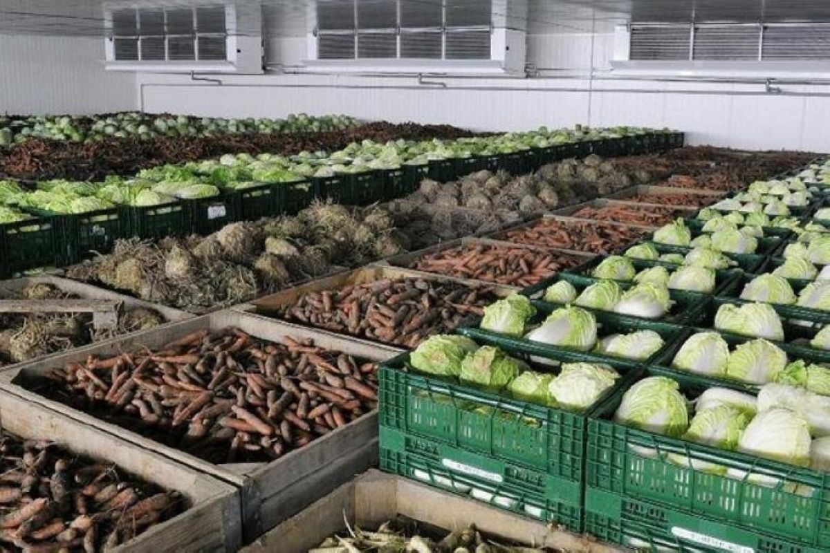 قولدا بار قويمالار كادەگە جاراپ تۇر ما؟