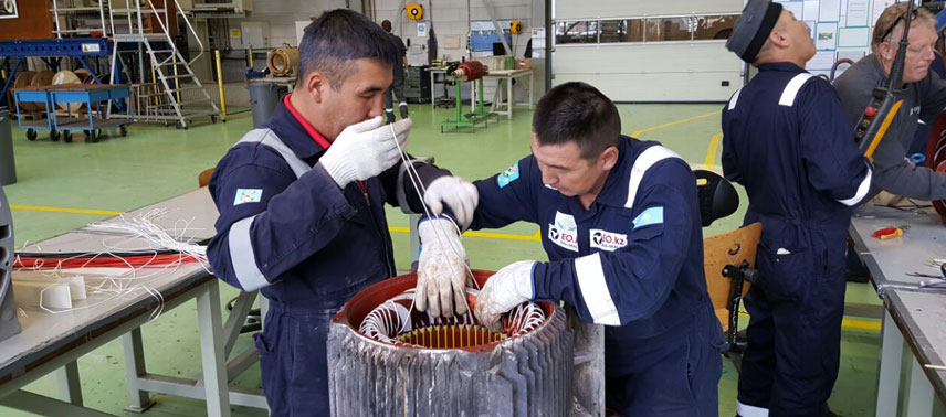 ەلۋدەن اسسا دا ەڭبەككە قابىلەتتى