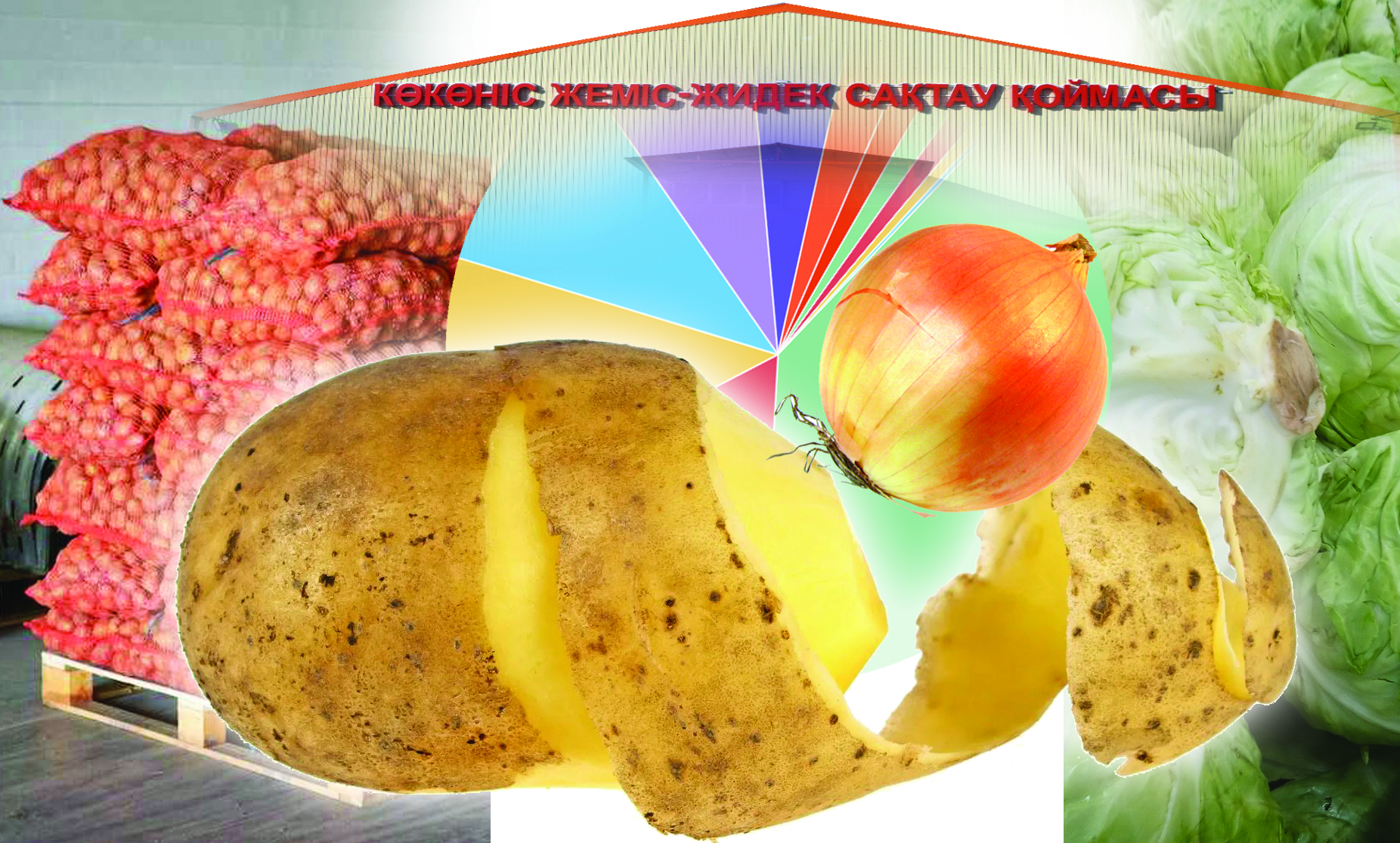 قويما تاپشىلىعى قىمباتشىلىققا ۇرىندىرادى