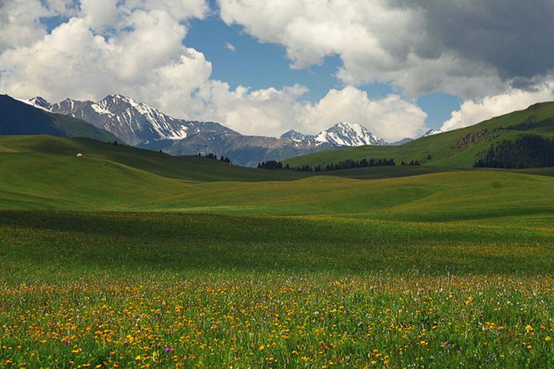 توقاەۆ: شەتەلدىكتەرگە قازاقتىڭ ءبىر قارىس جەرىن دە بەرمەيمىز