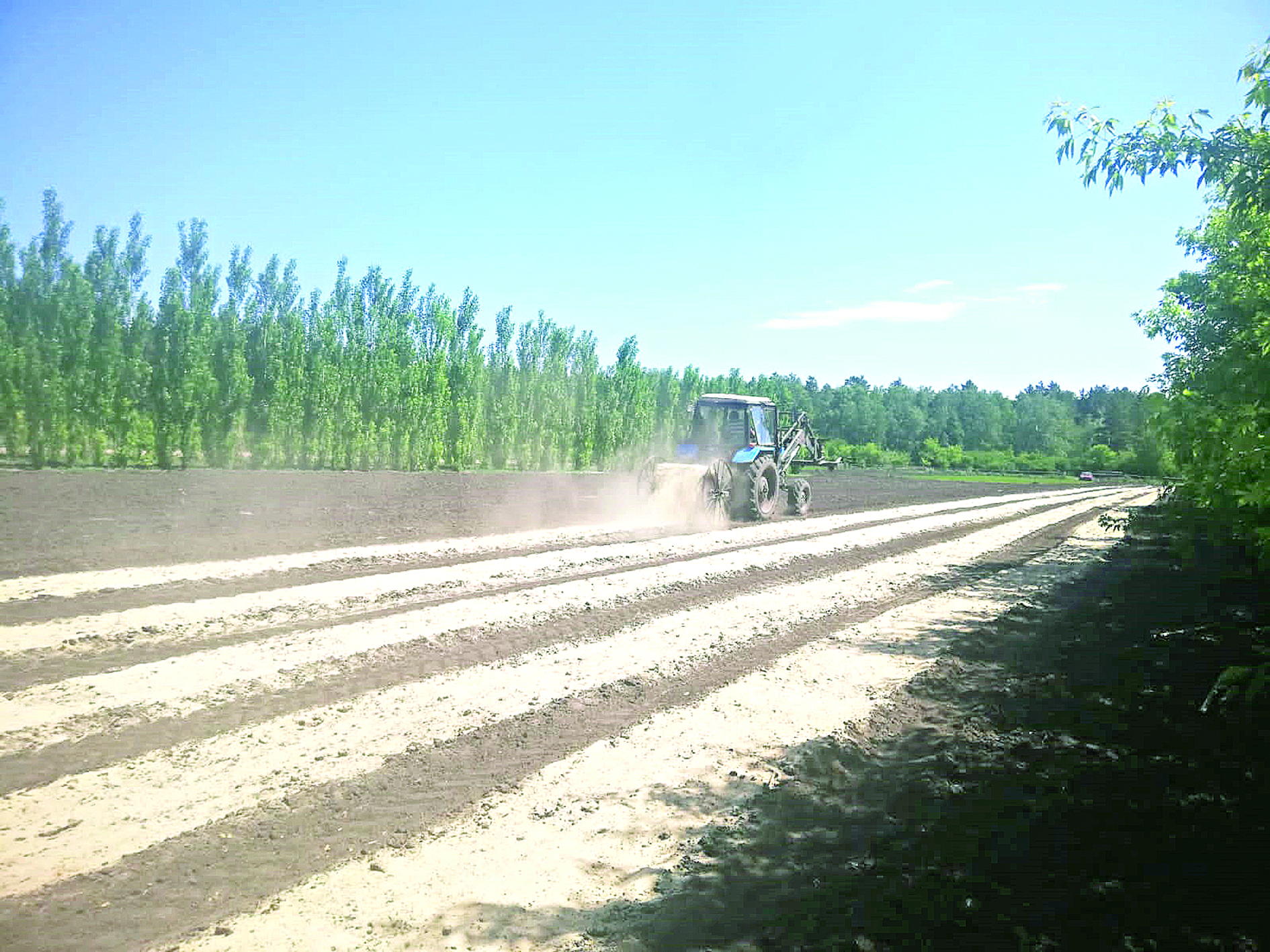 ورمانىمىزدى ءورت شالماسىن دەسەك...