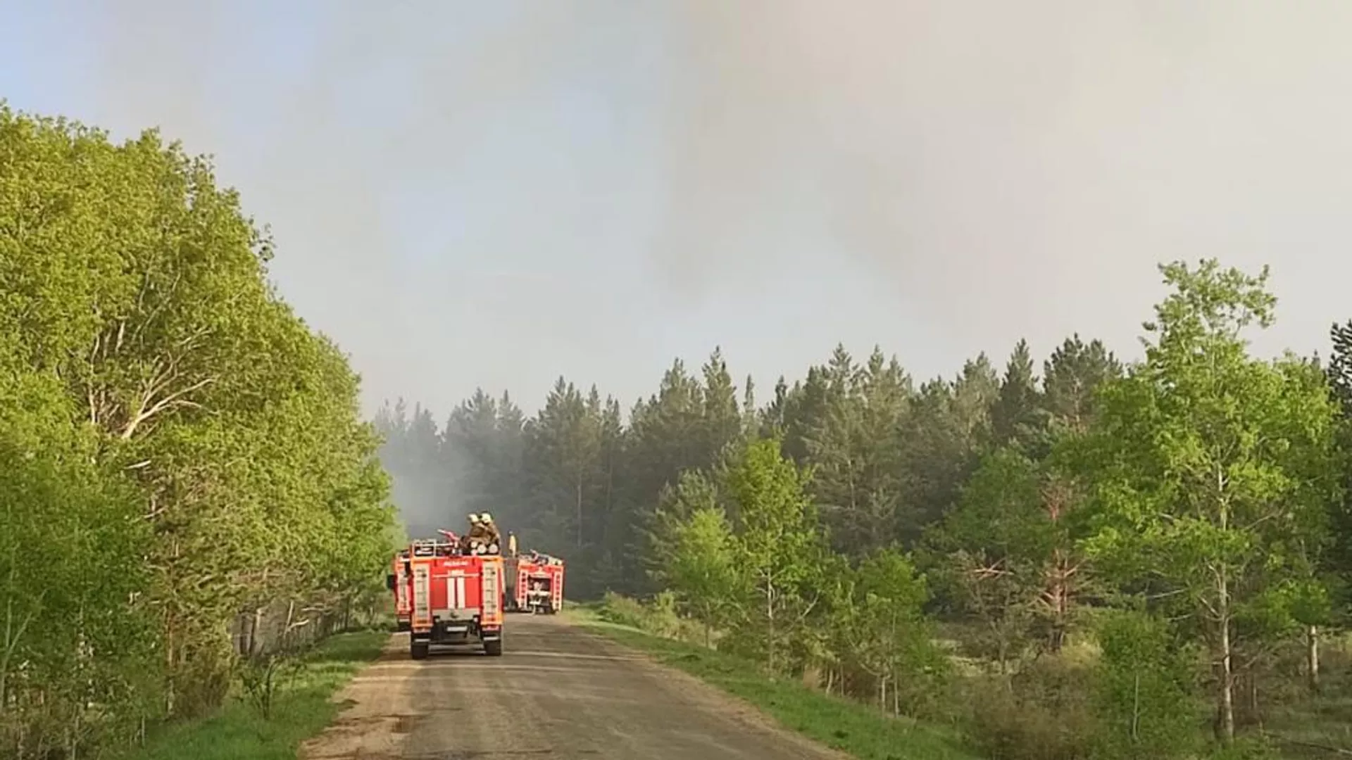 كاتونقاراعاي ۇلتتىق تابيعي پاركىندەگى ءورت ءسوندىرىلدى