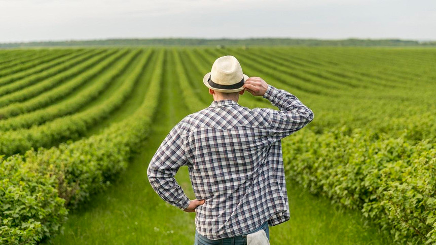 سۋبسيديا سۋدى ۇنەمدەيتىن فەرمەرلەرگە بەرىلەدى - اشم