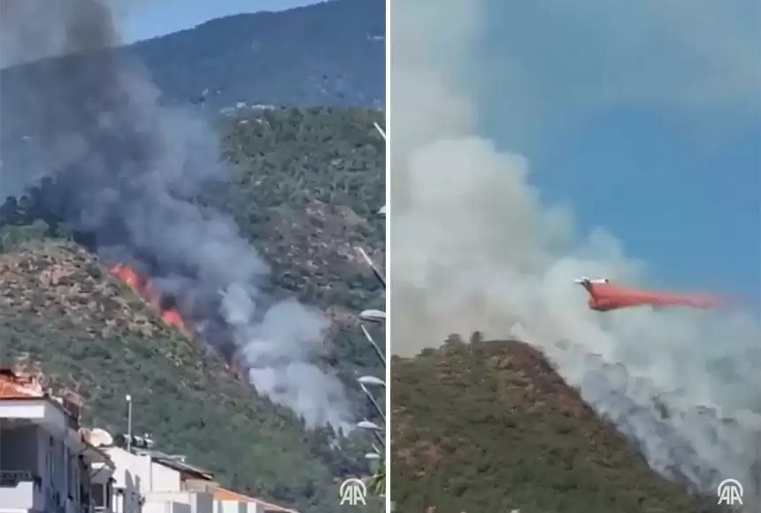 تۇركيادا كۋرورت ماڭىنداعى ورمان ورتەندى