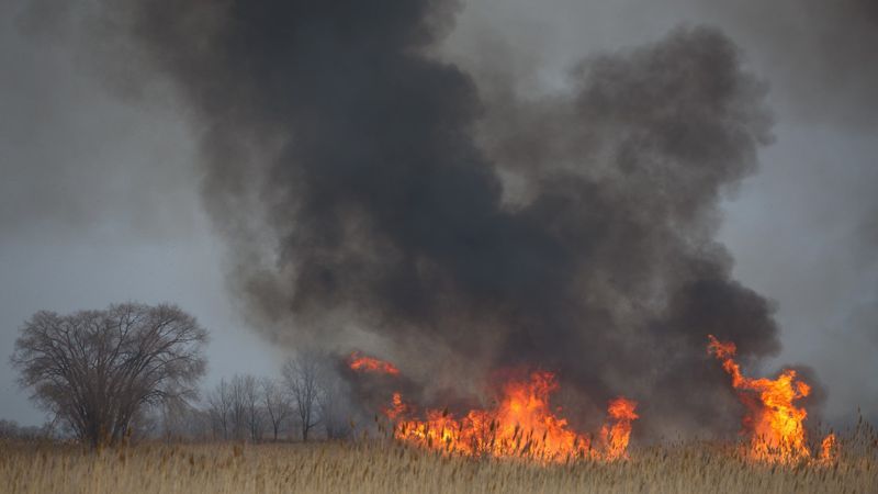 الماتى وبلىسىنداعى قامىس ورتىنە تىكۇشاق جۇمىلدىرىلدى