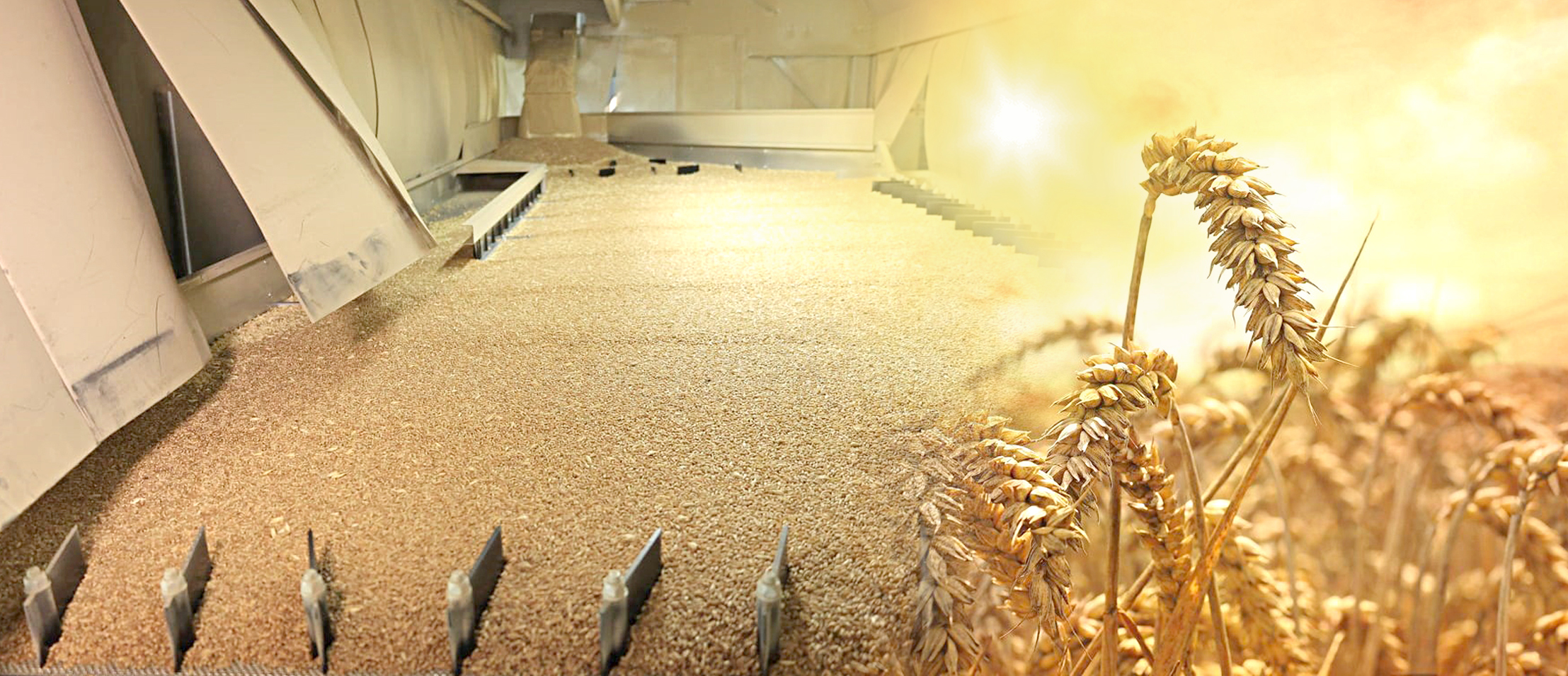 بيداي باعاسى الاڭداتادى