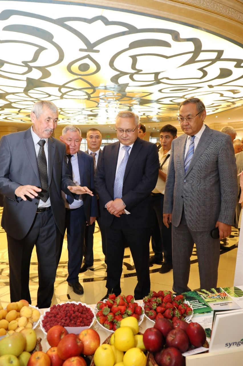 تۇقىم وندىرىسىنە جۇيەلى كوزقاراس قاجەت