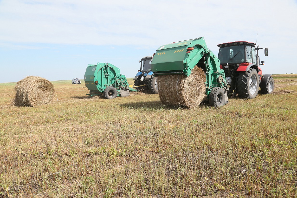 شابىندىققا شالعى كەش سالىندى