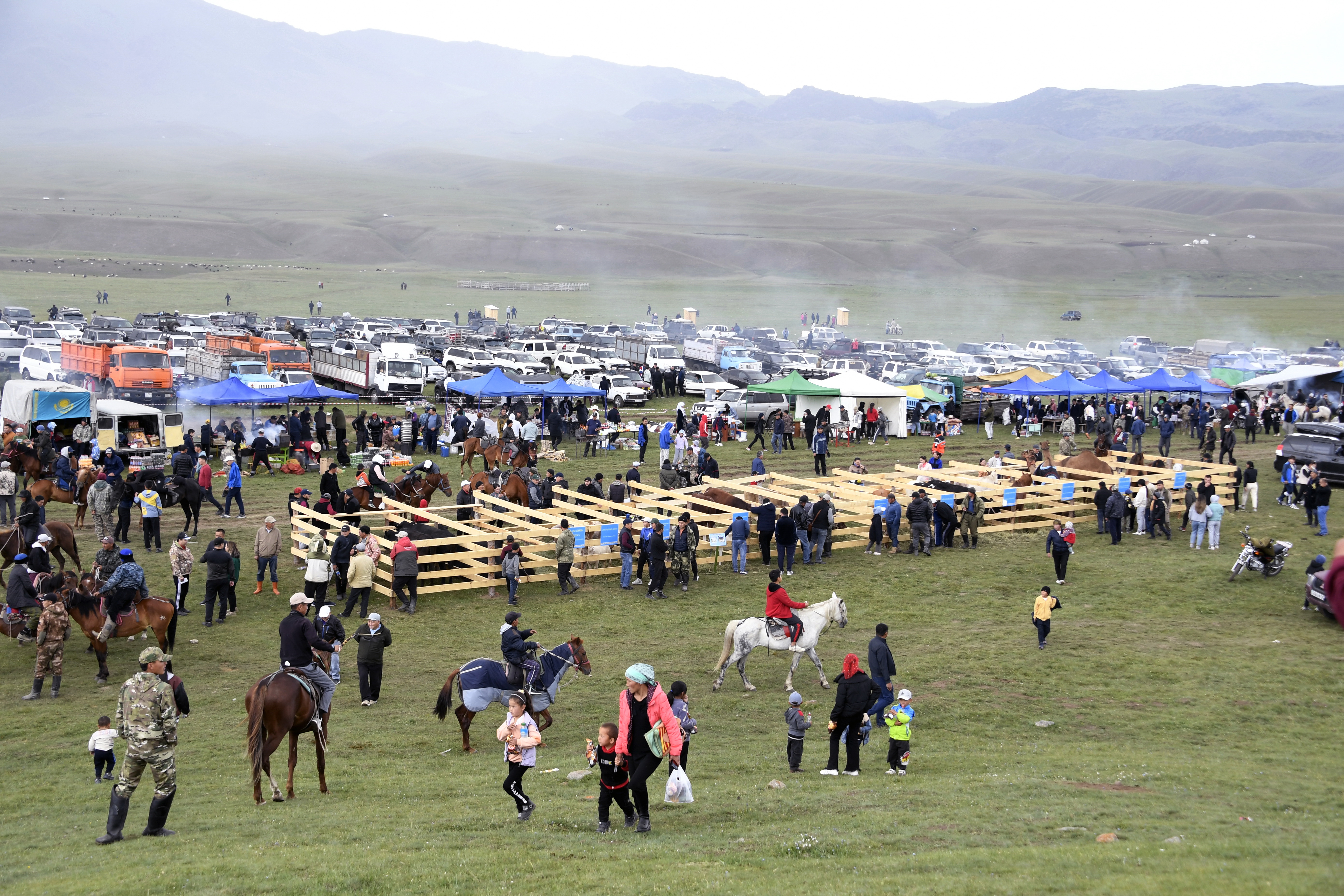 توسكەيى ءتورت ت ۇلىككە تولى جايلاۋ