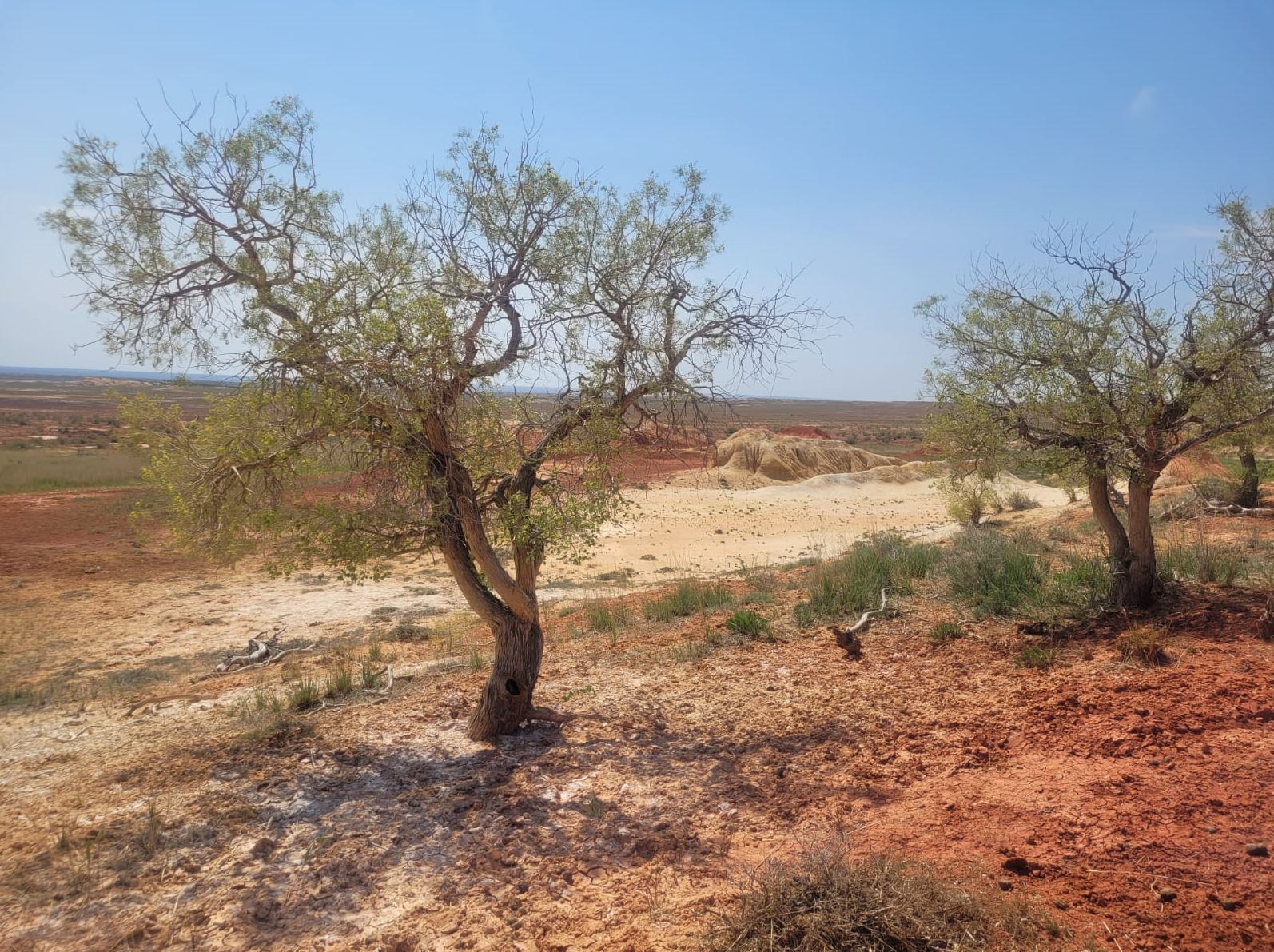 توراڭعىلى بەتكەي