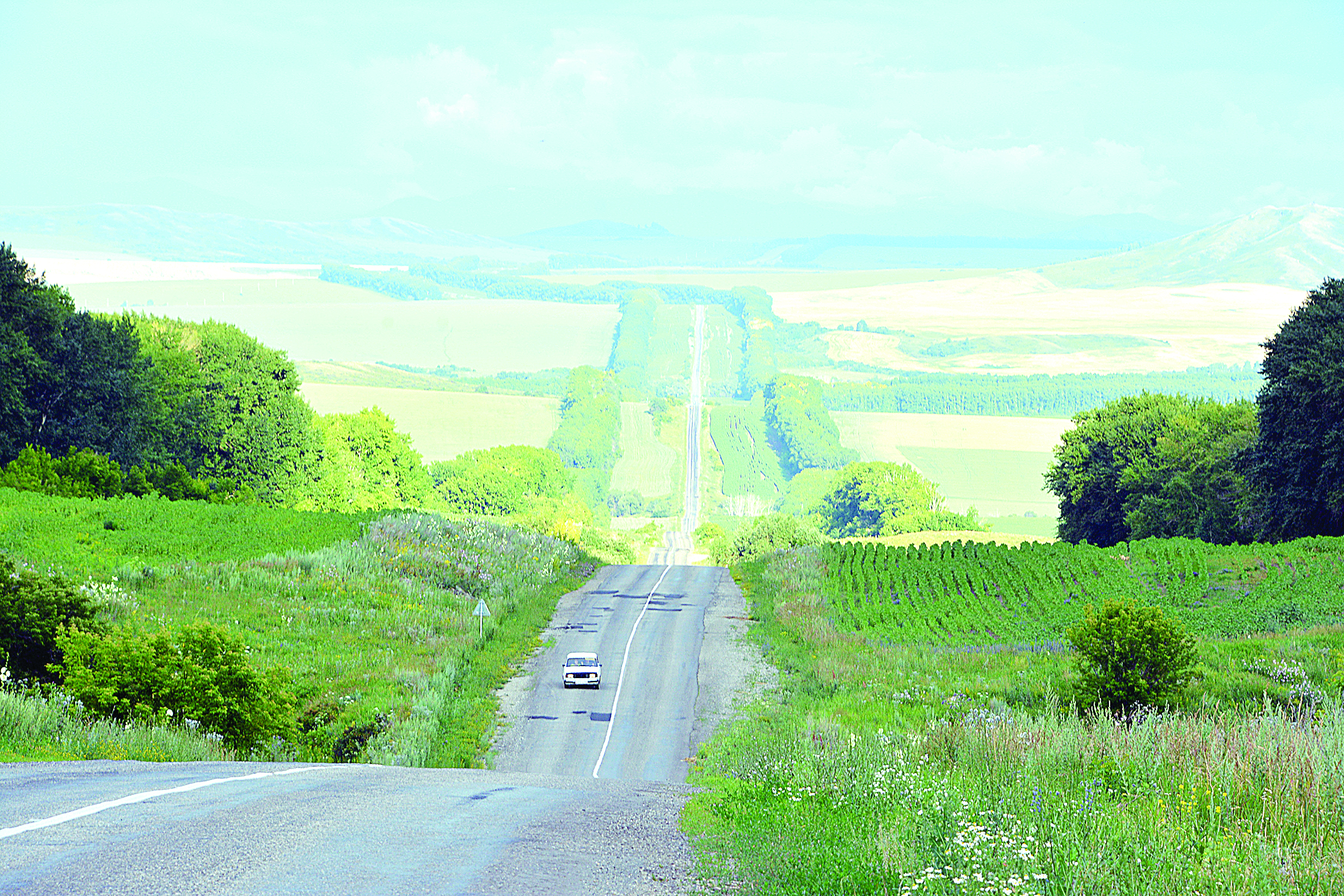 جولدىڭ «جىرى» نەمەسە پەنوپلەكس كوپىر