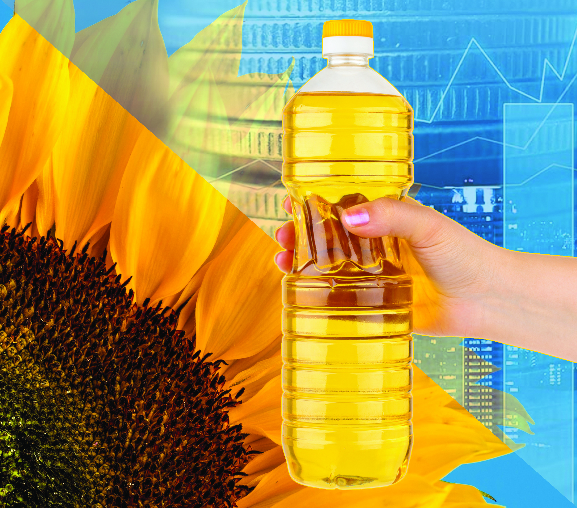 قور بولعان مول ءونىم