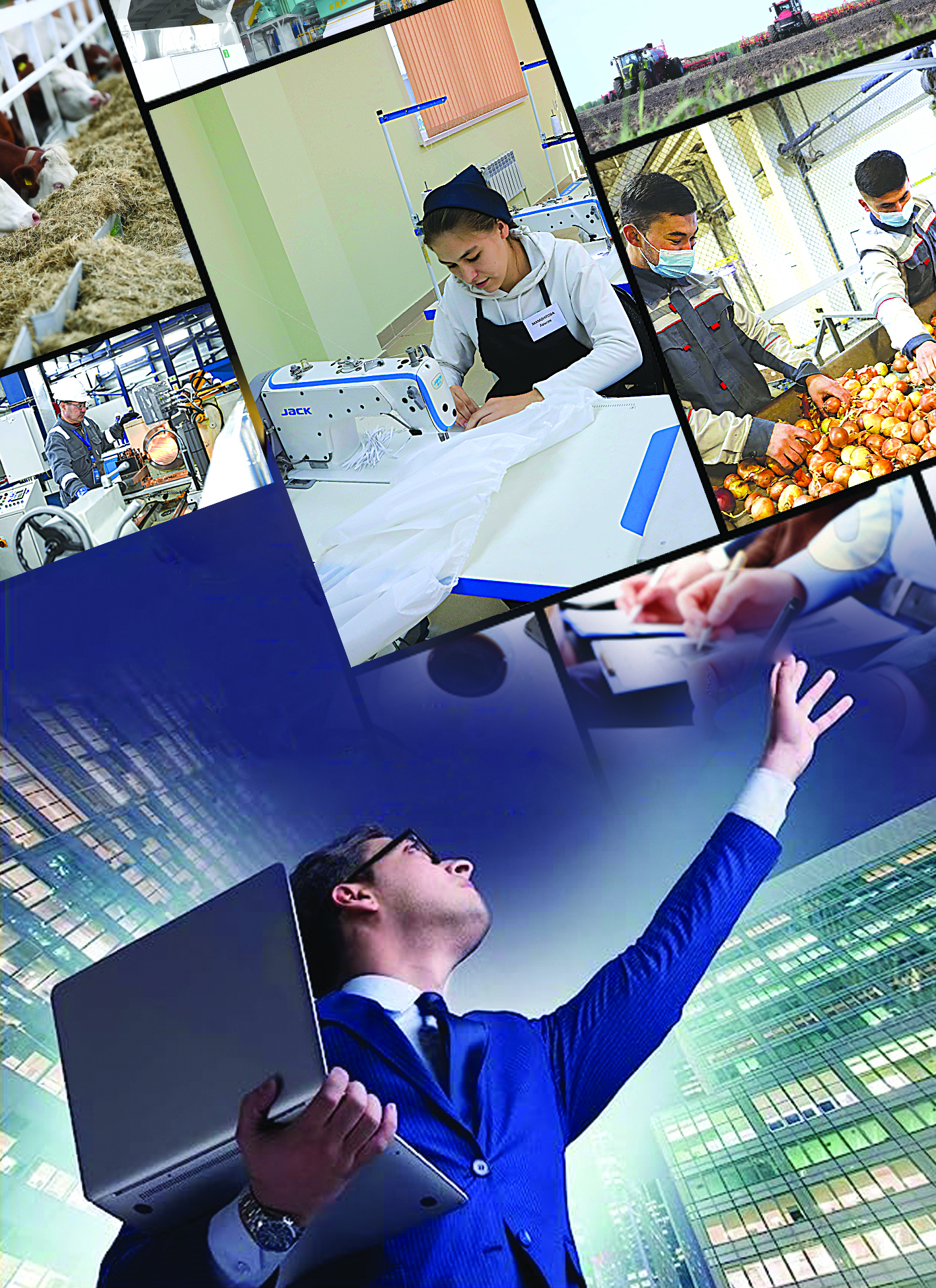 شاعىن بيزنەستىڭ اۋقىمدى ماسەلەلەرى