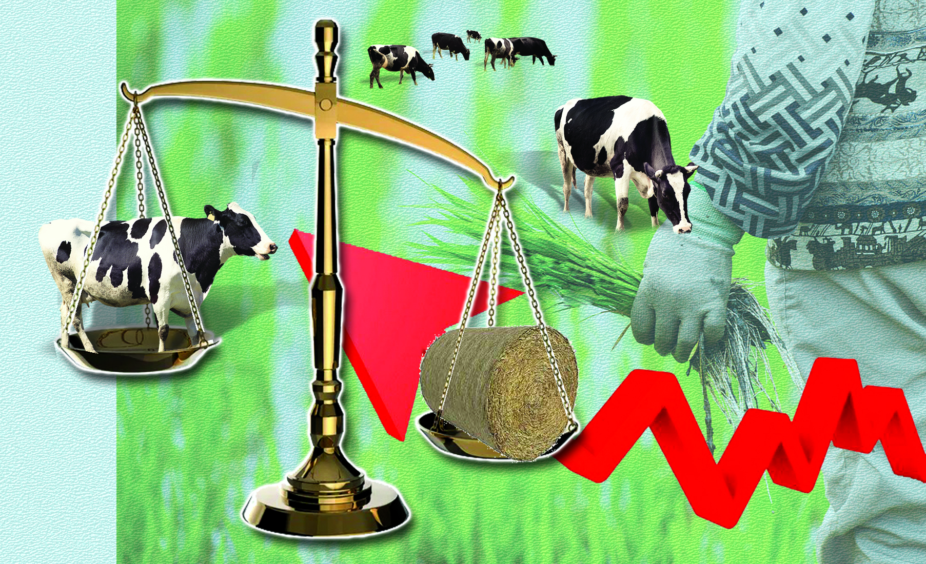 مال ارزان, ءشوپ قىمبات