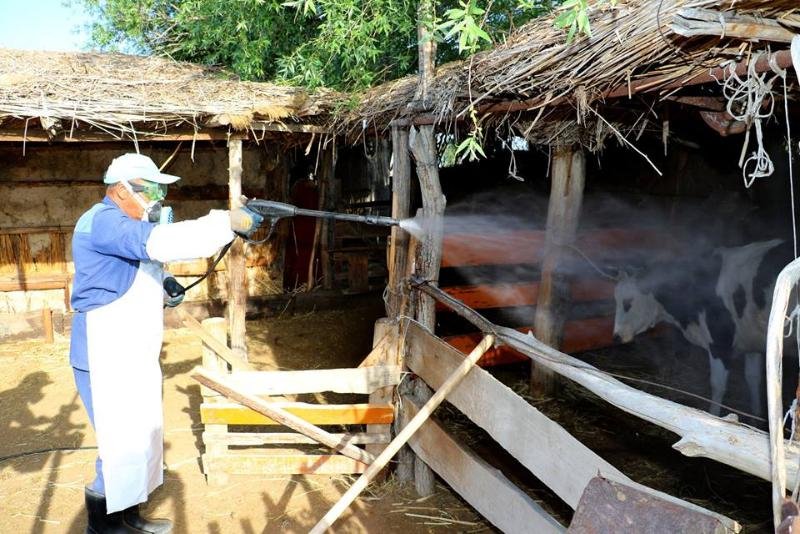 كەنەدەن كەلەر قاۋىپ كوپ