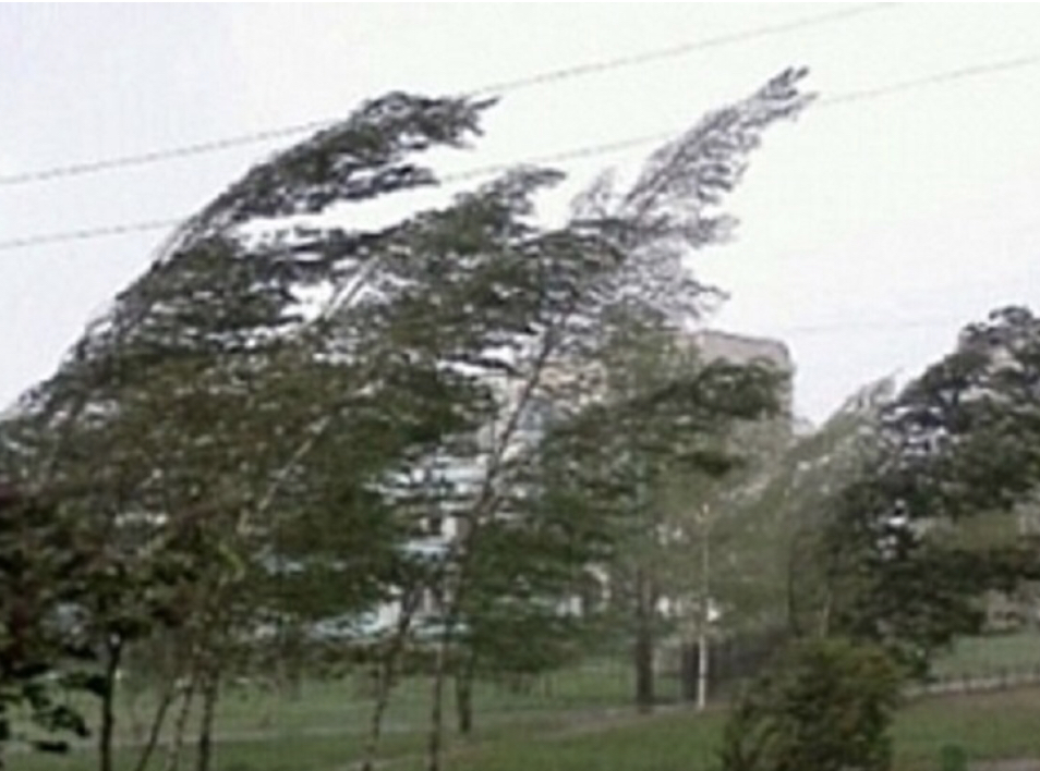 ەلدىڭ باسىم بولىگىندە داۋىل سوعادى